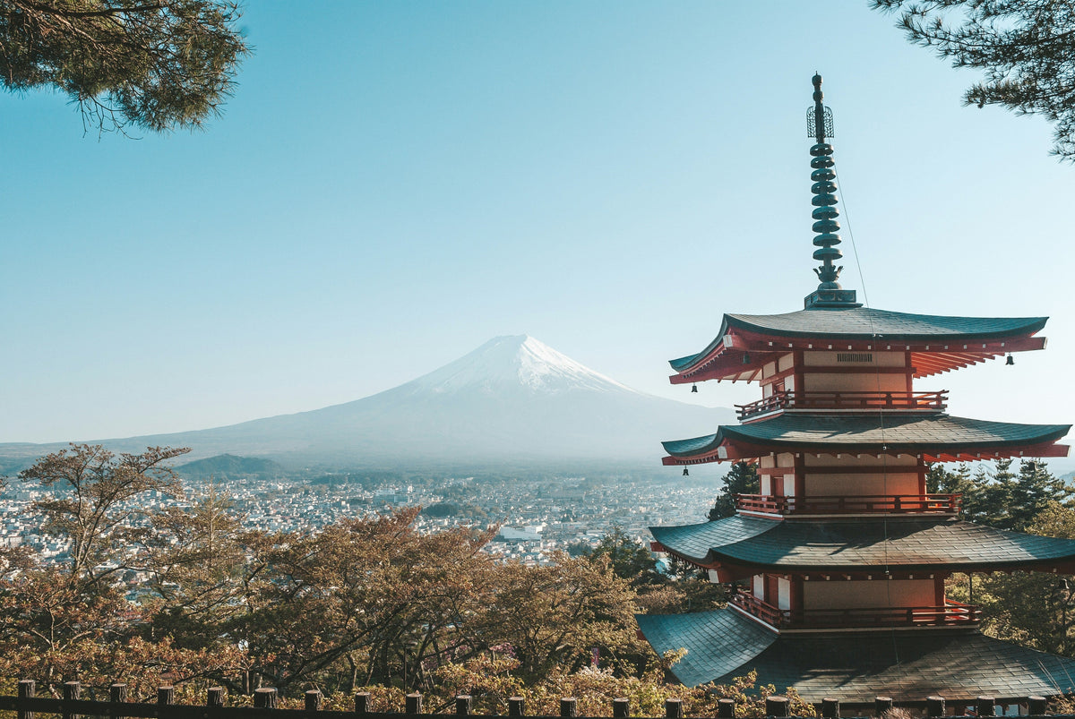 二十四節気とは？一覧と読み方・意味、2026年の日付と暮らしの楽しみ方